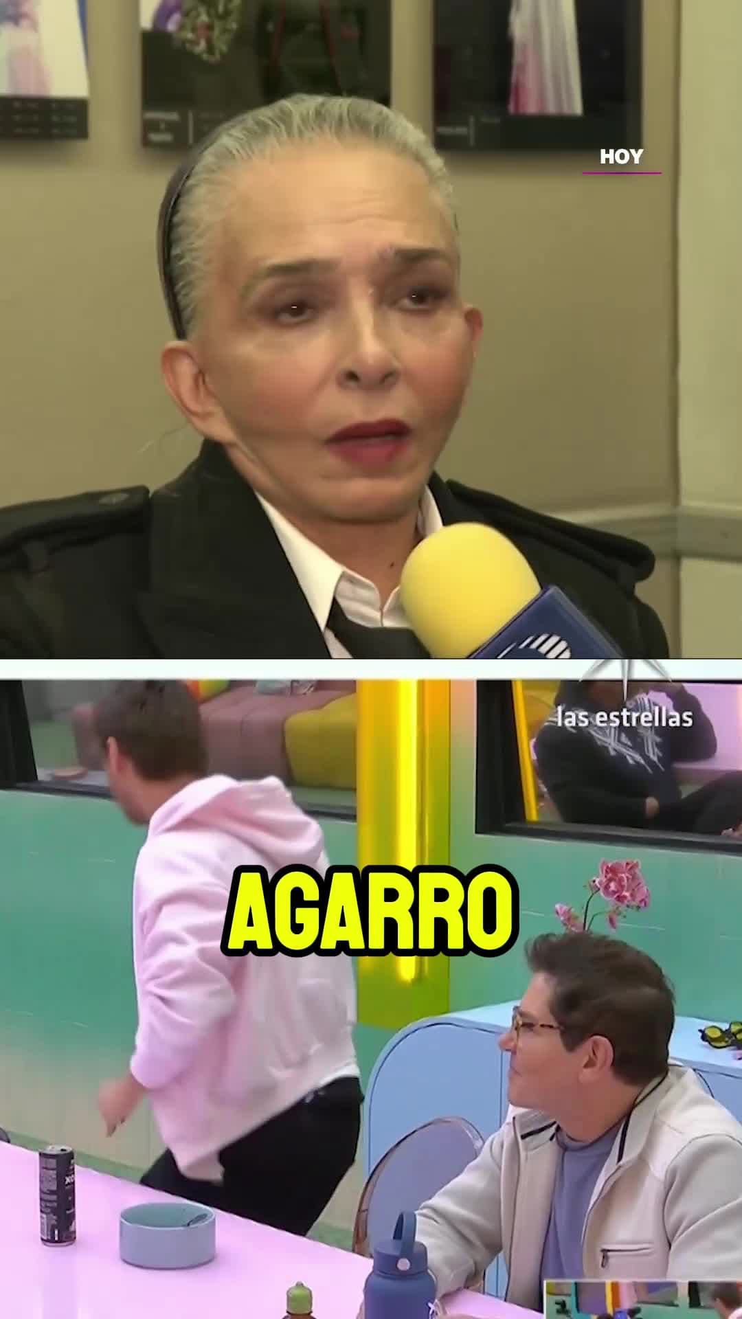 #AnaMartín APOYA a #Cynthia y #Ernesto, pero no entraría a #LCDLFMX por su CARÁCTER