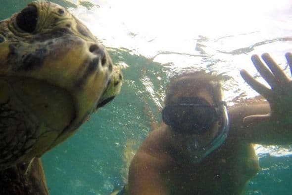 En 2010, Raúl de Molina no paró de presumirnos sus vacaciones en Hawái.