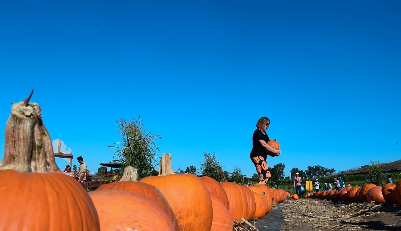 Además de las pautas de higiene, las órdenes establecen que se deben evitar o minimizar las reuniones sociales de hasta 10 personas y que se prohíbe socializar en grupos de más de 10 personas fuera del mismo hogar.
