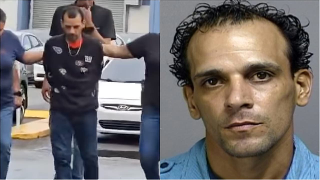 Arrestan al hombre que fue grabado mientras torturaba a una perrita pastor alemán en Bayamón