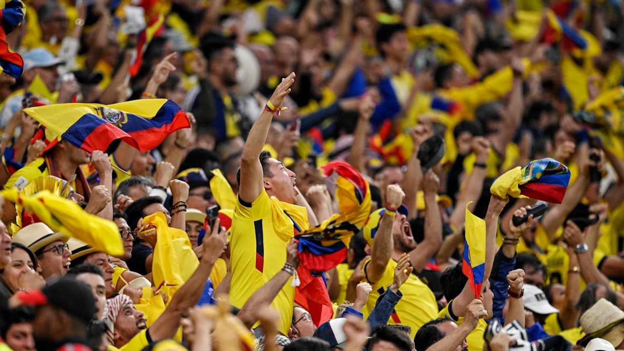 Fans de Ecuador corean “¡Queremos cerveza!” durante juego ante Catar