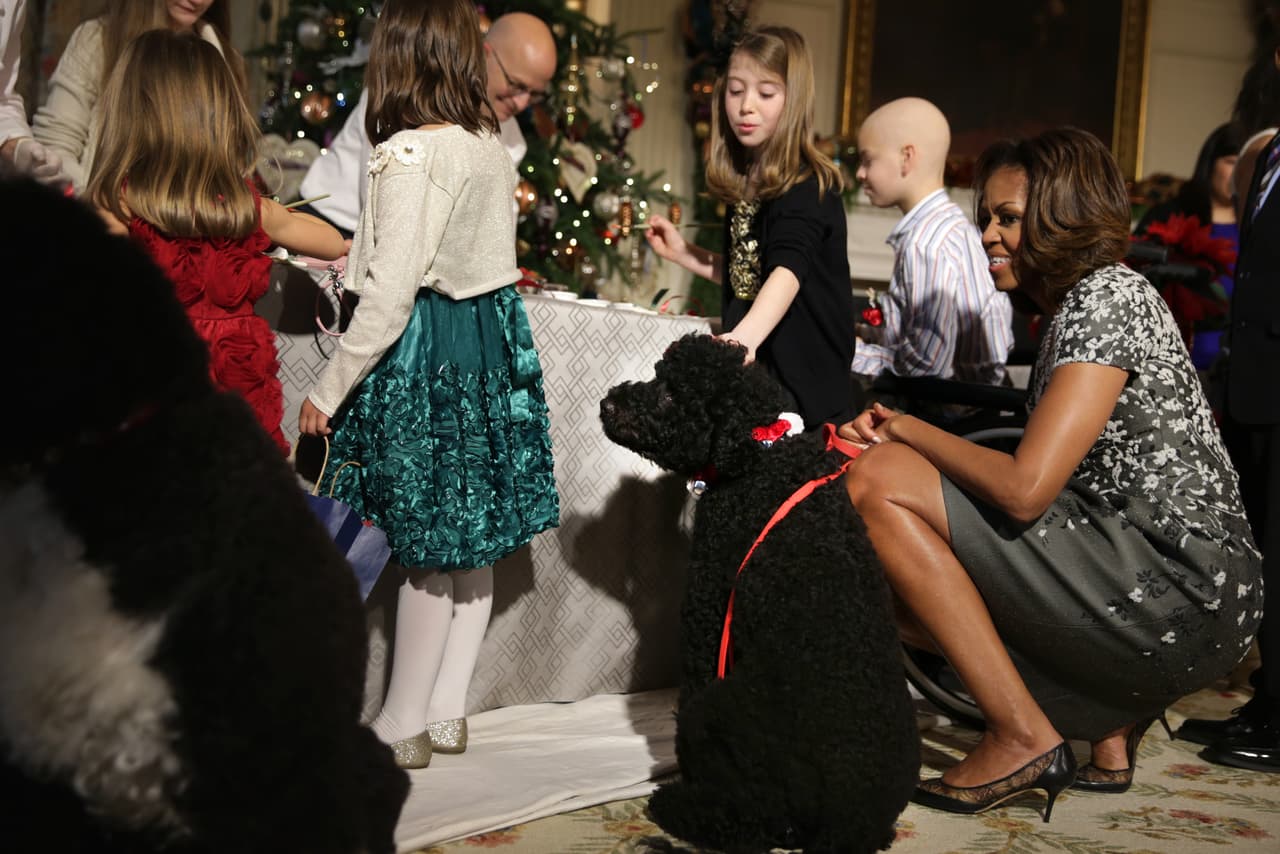 Salirse del protocolo es algo que siempre ha caracterizado a Michelle Obama, quien en repetidas ocasiones y con formales vestidos se arrodillaba para consentir a sus perros. Este par de perros de pedigrí fueron elegidos por ser hipoalergénicos, ideales para niñas como Malia que padecen alergias con los animales.