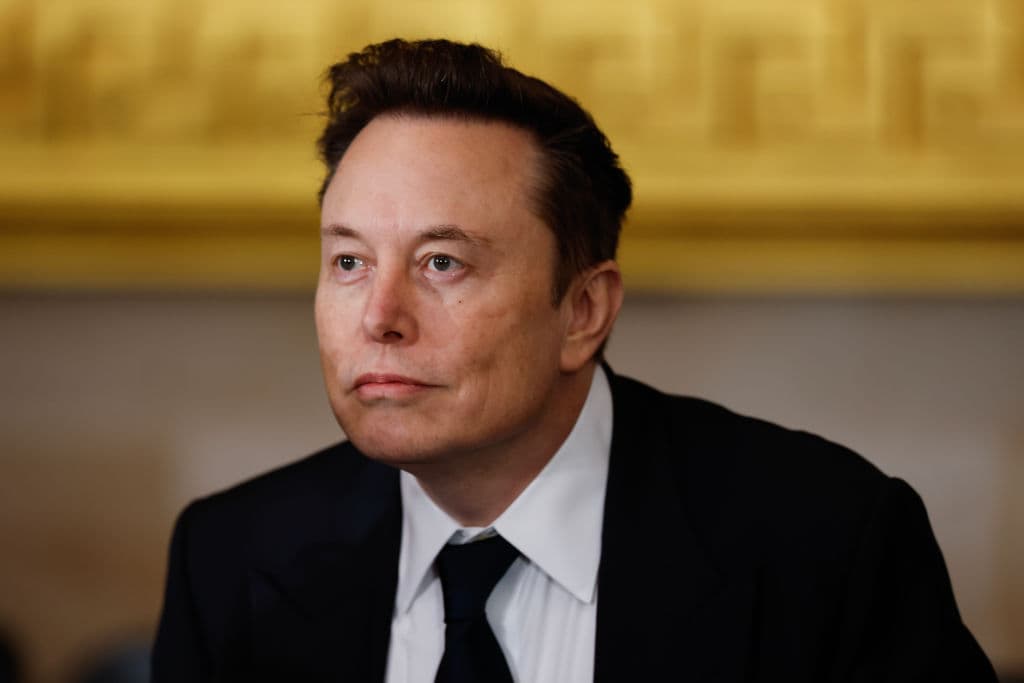 Elon Musk, director ejecutivo de Tesla, SpaceX y X, llega a la toma de posesión del presidente electo de Estados Unidos, Donald Trump, en la Rotonda del Capitolio de Estados Unidos el 20 de enero de 2025 en Washington, DC.