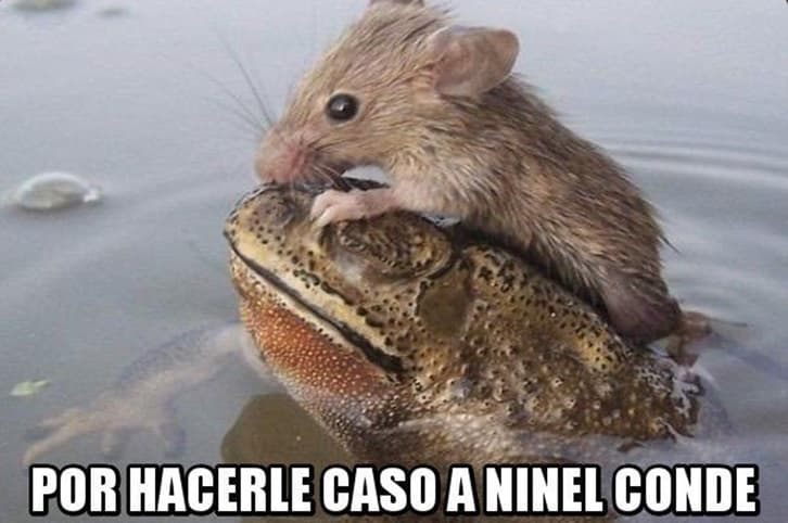 ¿Qué hará Ninel ahora? Lo cierto es que se metió en otro lío, será difícil que los usuarios logren olvidar esta metida de pata.