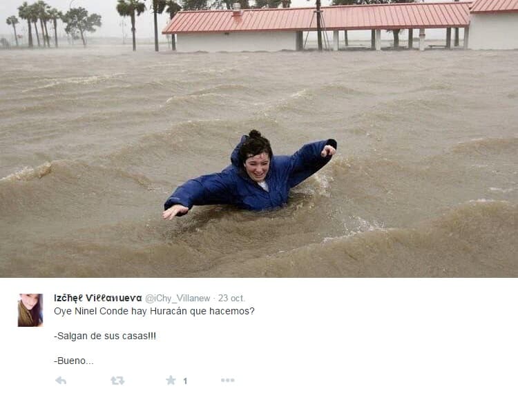 Pobre Ninel, aunque no quiera, tendrá que soportar las burlas y también leer una mil veces cada una de las cosas que publica en sus redes sociales.