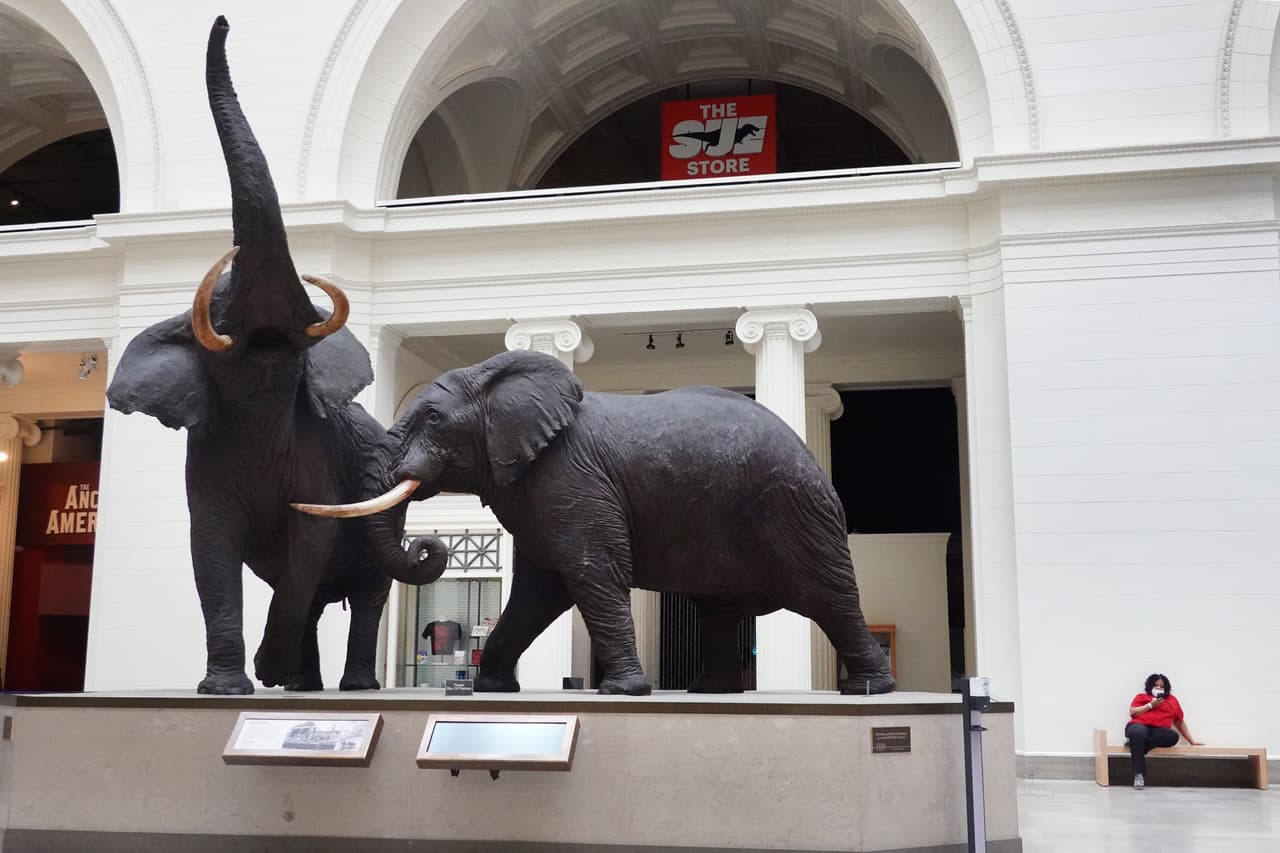 <b>Museos y Zoológicos. </b>Pueden volver a abrir sin superar el 25% de su capacidad, con exhibiciones interactivas y venta en línea de boletos. Las visitas guiadas solo se puede dar para grupos de menos de 50 personas.
<br>