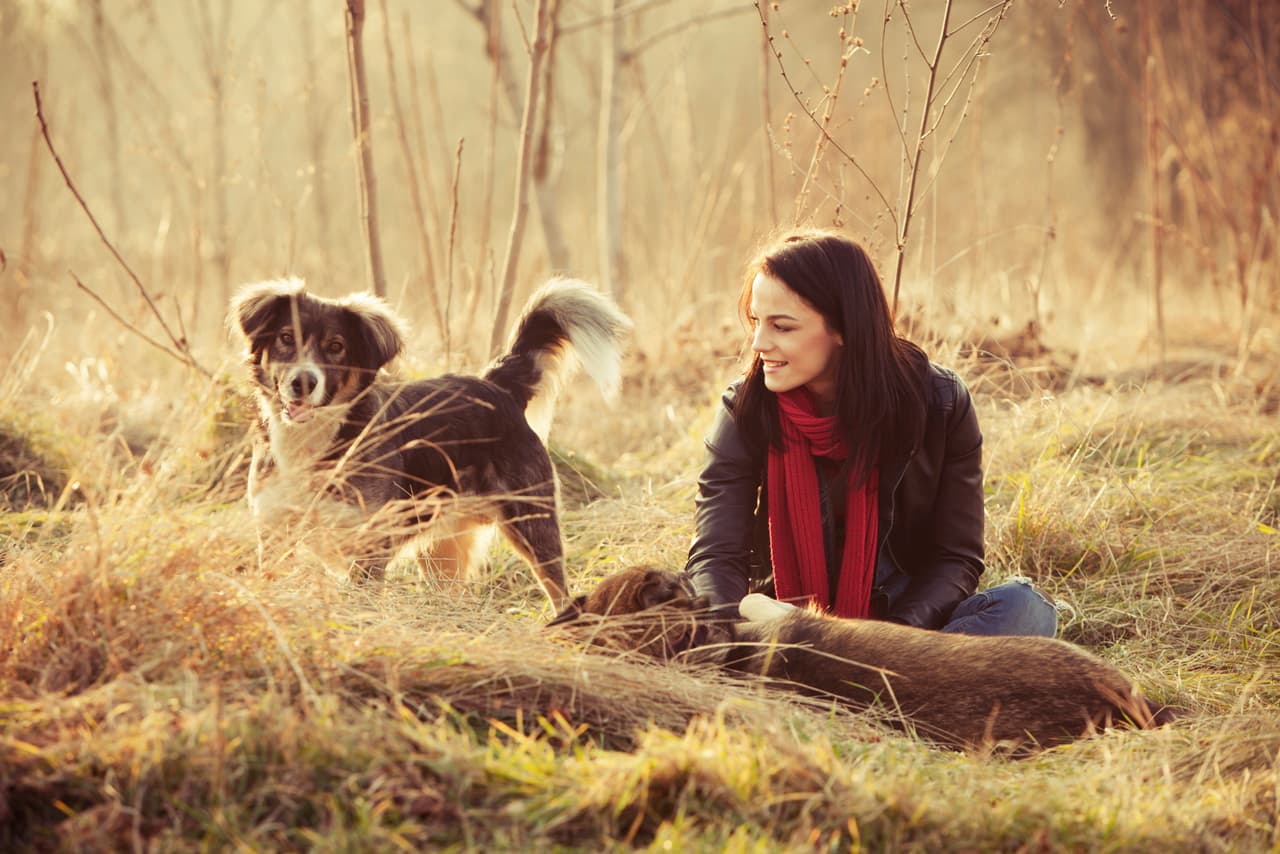Los eventos de vacunación serán de 10:00 a.m. a 1:00 p.m. cada segundo domingo de cada mes entre marzo y julio. Las clínicas no serán en el albergue Front Street, sino que en diferentes partes de la ciudad.