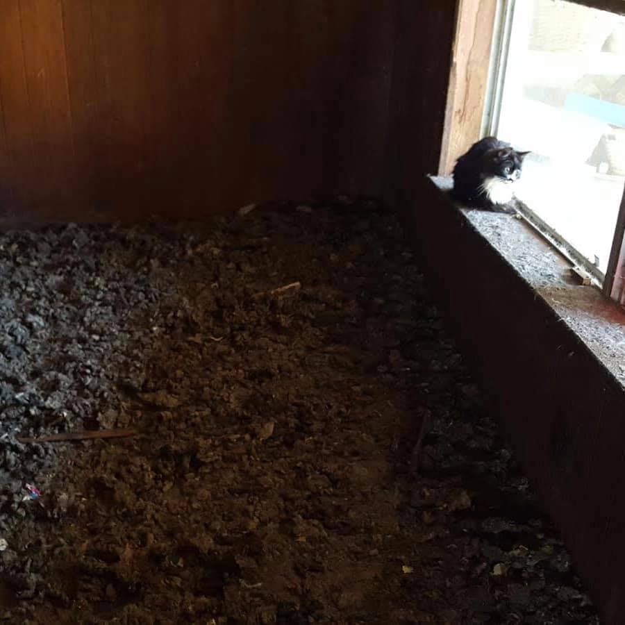 En el interior de la casa se encontraron montañas de excrementos.