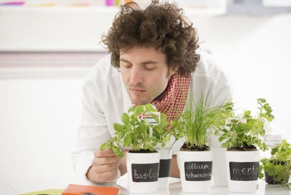 Buen drenaje. Asegúrate de que los contenedores tengan uno o más agujeros de buen tamaño para que el agua excedente del riego se escurra.