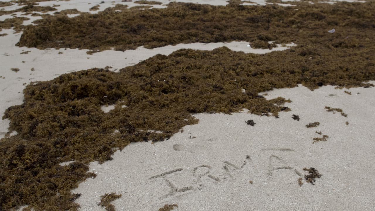Con toque de queda, Miami y Miami Beach comienzan a sentir los vientos de Irma
