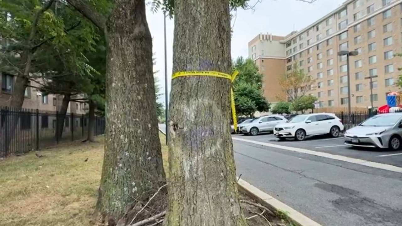 Siete tiroteos en Washington DC en cuestión de horas dejan al menos dos muertos y 12 heridos