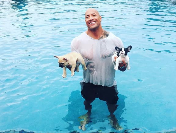 Viral: Dwayne 'The Rock' Johnson rescató a dos cachorros