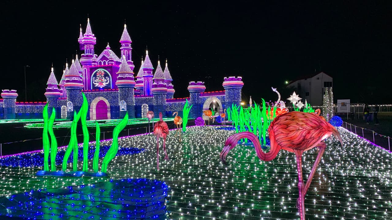 Aquí tenemos otra de las vistas del impresionante espectáculo de luces navideñas de Magical Winter Lights en Baytown, Texas.