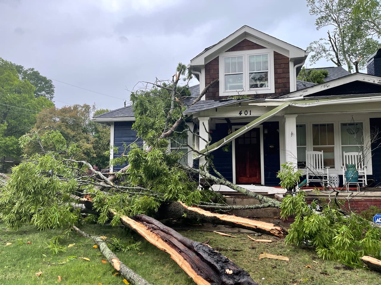 Nunca se esconda o busque refugio debajo de árboles durante una tormenta.