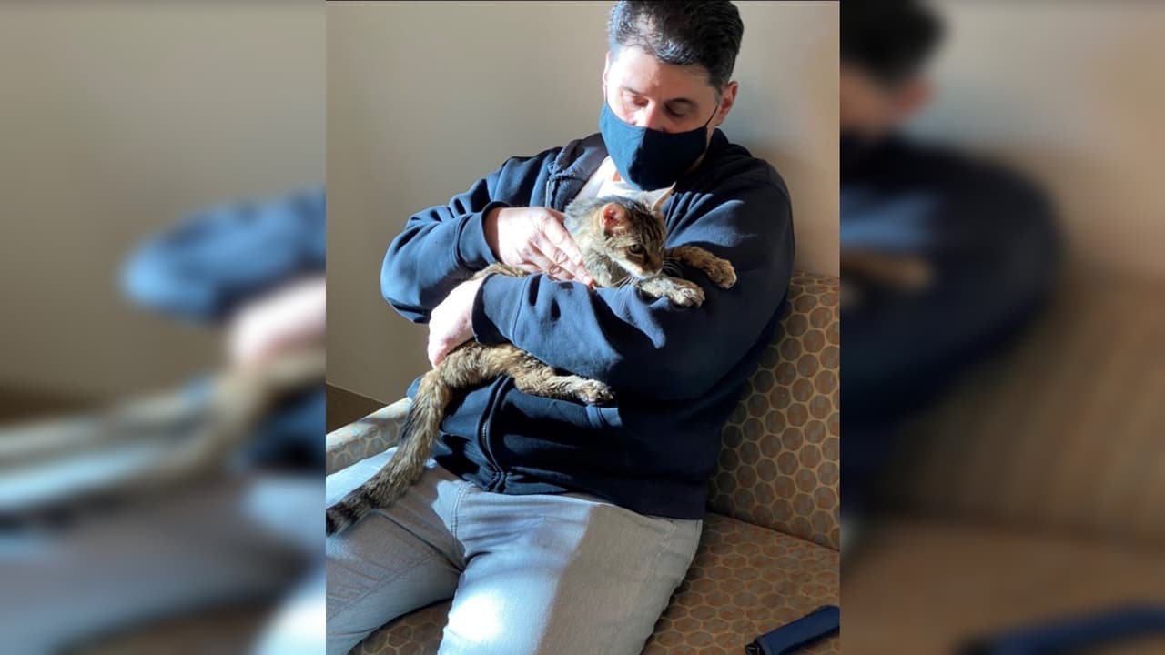 "Fue agradable tenerla en mis brazos de nuevo": Un hombre se reencuentra con su gata que estuvo perdida por 15 años