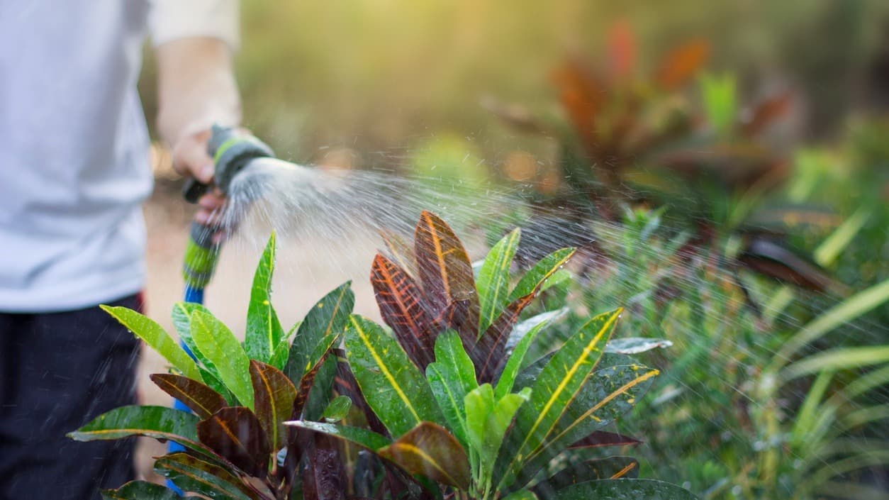 La factura de la sequía: por qué a estos residentes en California les quieren cobrar más por ahorrar agua