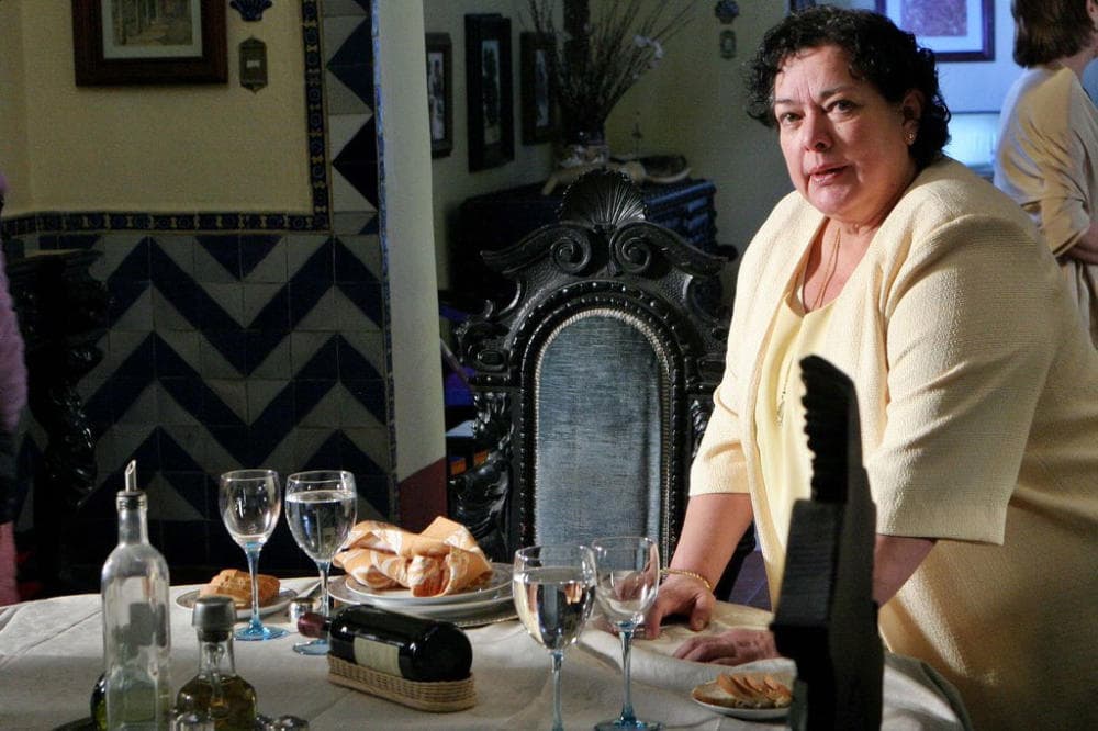 '
<b>La doble vida de Estela Carrillo</b>' fue la última telenovela que realizó, haciendo una participación especial, aunque dentro de su carrera artística cuenta con historias como 'La fuerza del destino', 'Los parientes pobres, 'Cadenas de amargura', entre otras.