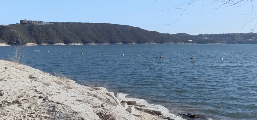 Las mascotas están prohibidas.