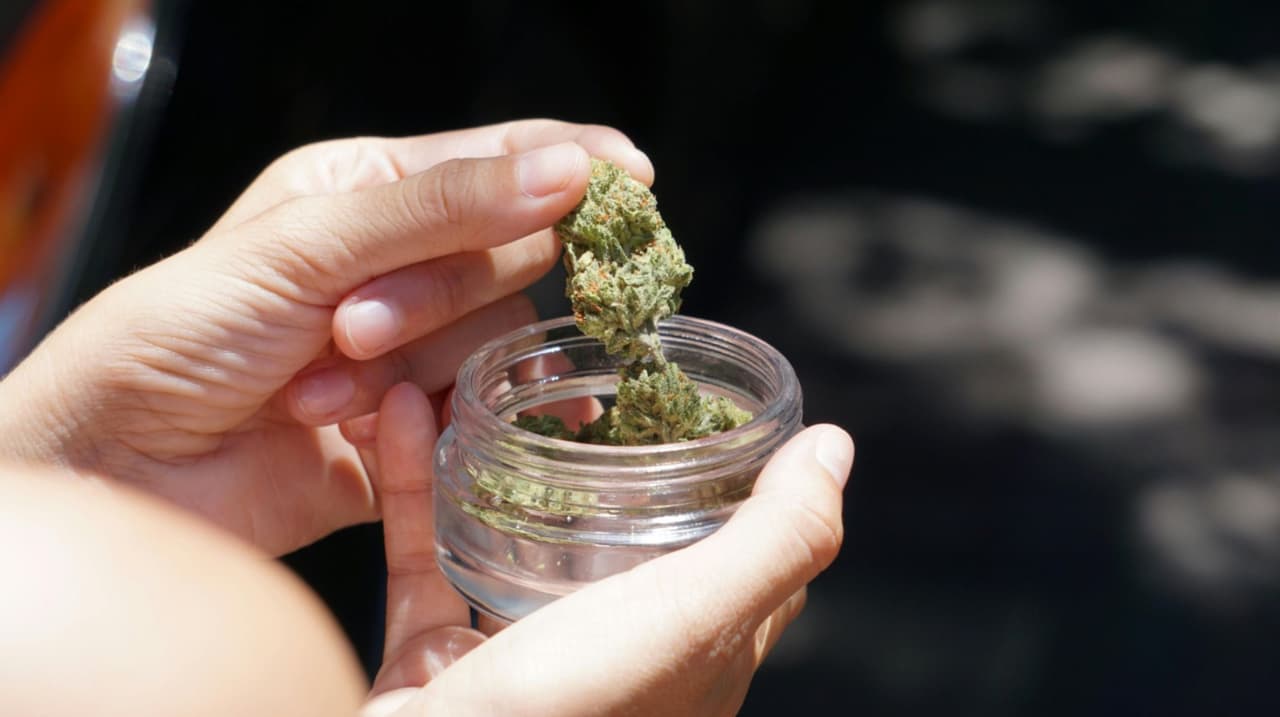 Aumenta número de jóvenes en tratamiento por consumo de cannabis en el DMV