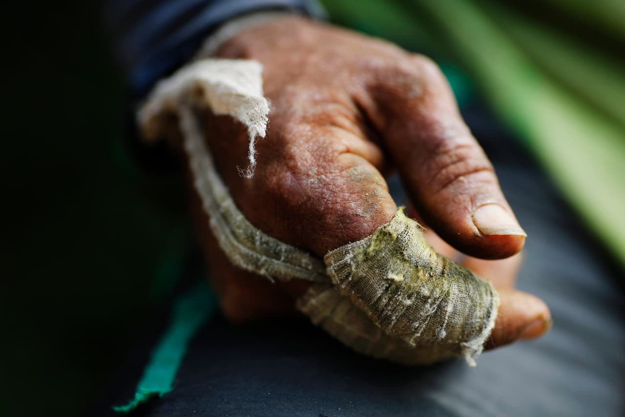 Un recogedor de coca en Antioquia, Colombia.