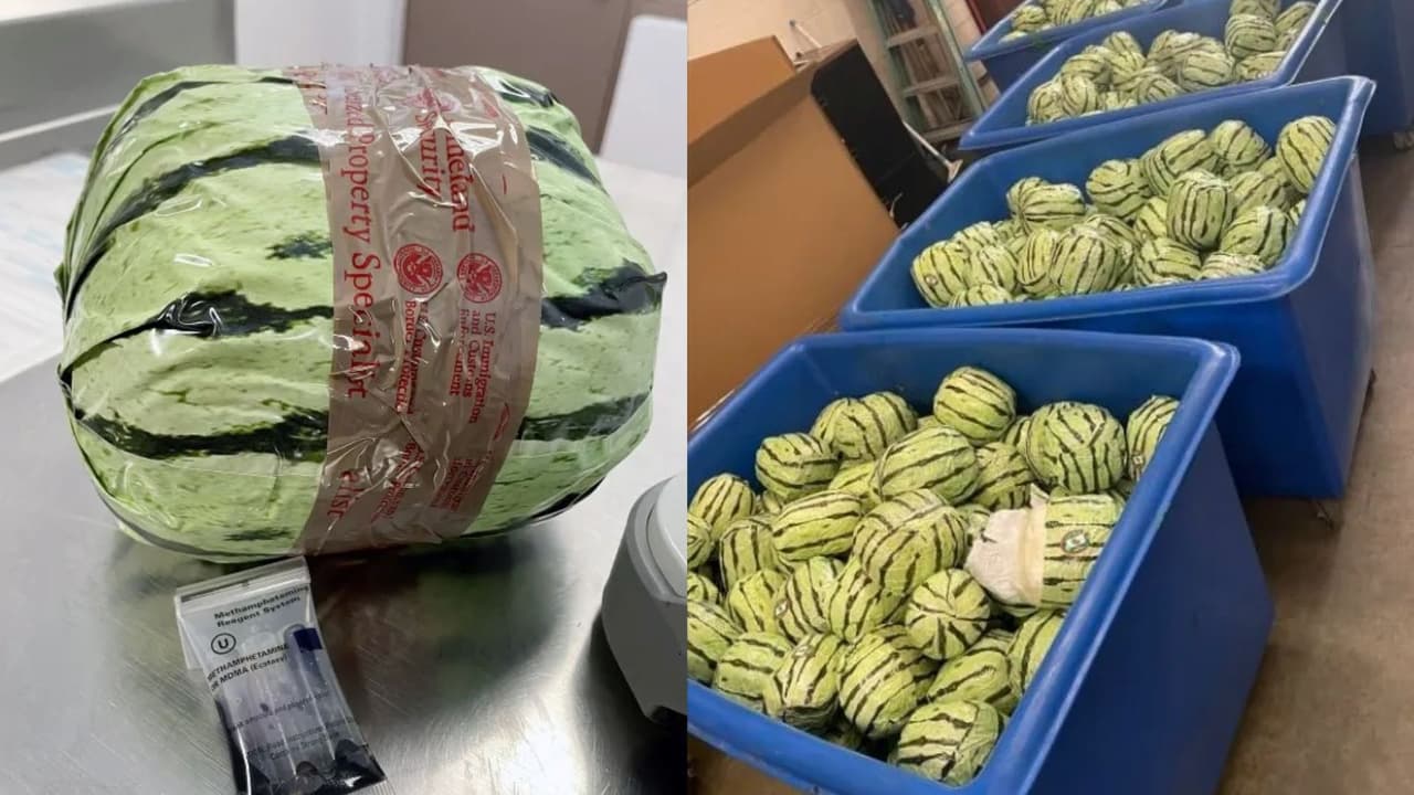 Las narcosandías valuadas en más 5 millones de dólares que no pudieron engañar a la aduana de EEUU