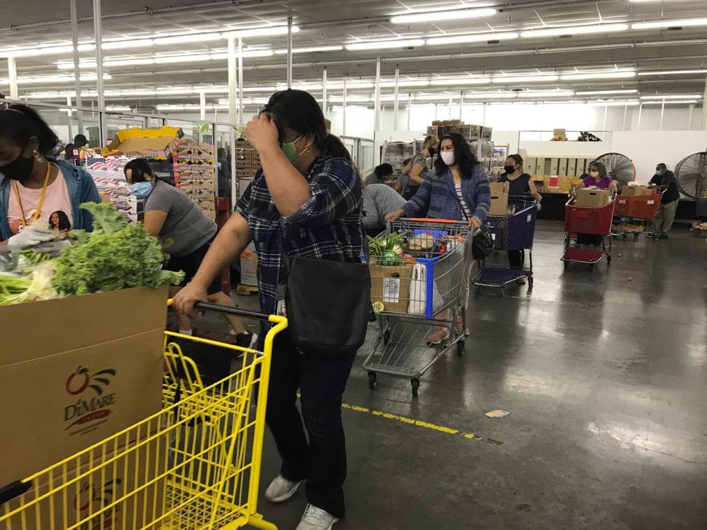 <a href="https://www.univision.com/local/dallas-kuvn/mas-de-1700-familias-al-dia-reciben-comida-gratis-en-un-centro-de-dallas">Más de 1700 familias al día reciben comida gratis en un centro de Dallas</a>. 
<br>