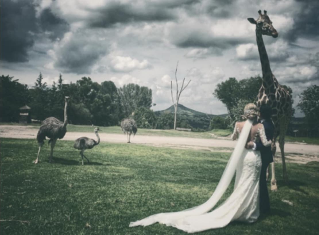 Las fotos que tendrán los novios como recuerdo de su enlace serán bastante peculiares.