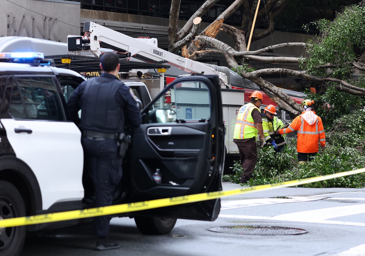 Qué hacer para evitar tragedias ante la caída de árboles y cables de alta tensión durante las tormentas