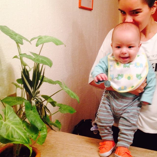 El 24 de mayo de 2014 Araujo dio a luz por segunda ocasión, esta vez a Mauro, producto de su amor con Lyle.