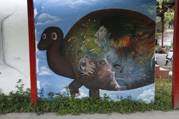 Ayotzinapa quiere decir "tierra de tortugas".