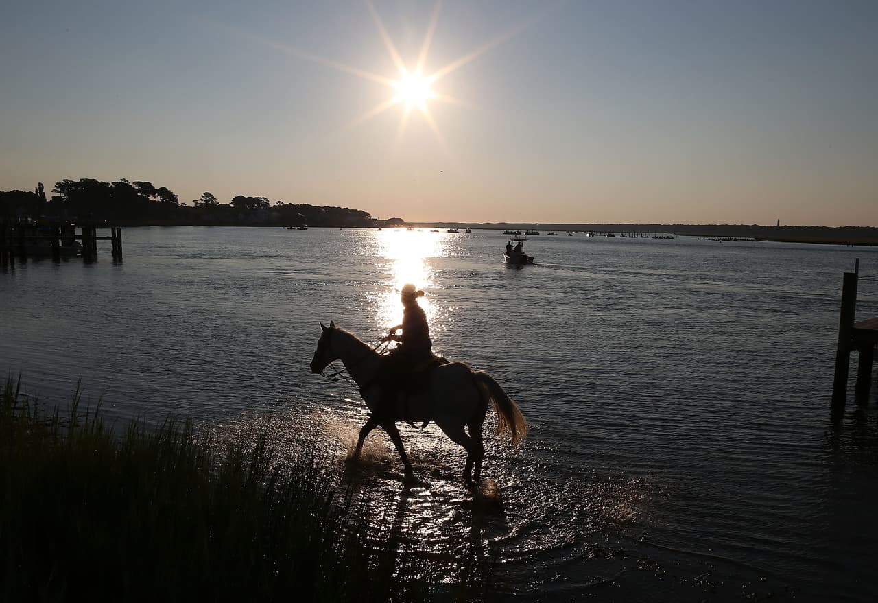 También puedes cabalgar, avistar aves y nadar en el fabuloso parque nacional.