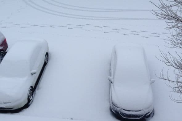 ¿Distinguen el color de estos automóviles? Imagen enviada por Bertha Ramírez desde Atlanta.