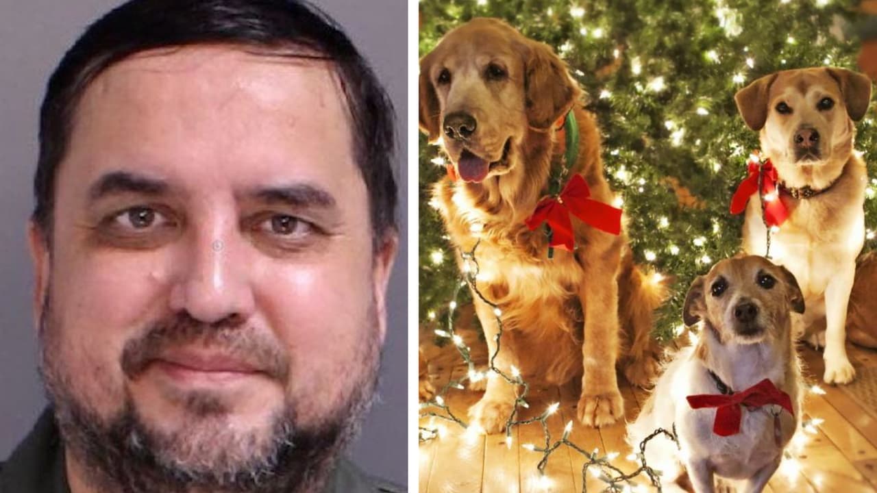 La Policía también vio un arma en un banco directamente a la derecha de Lukyanchikov, dijeron los investigadores. Cuando se controló el fuego, la policía observó un animal muerto, gravemente quemado y carbonizado encima de una pequeña parrilla de metal. Más tarde, la Policía determinó que el animal era el perro de Lukyanchikov, quien presuntamente lo quemó en la parrilla.