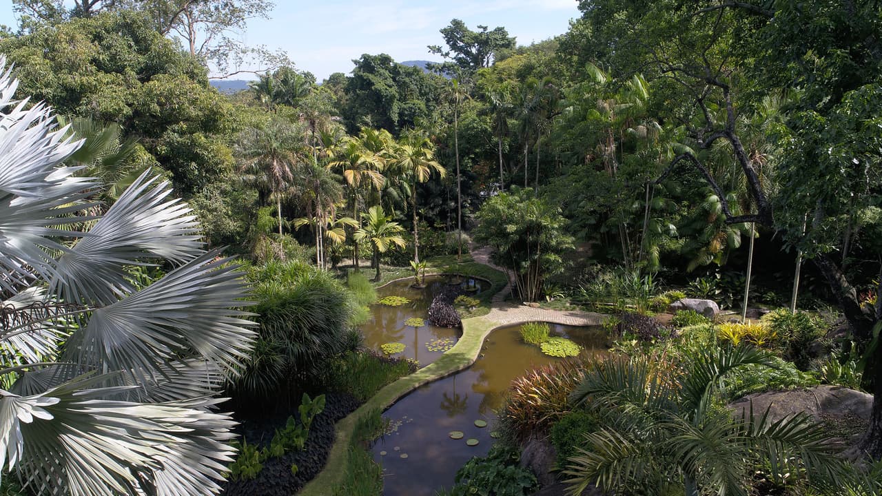 <b>Jardín Burle Marx, Brasil</b>
<br>
<br>Fue desarrollado durante más de 40 años por el arquitecto paisajista y artista Roberto Burle Marx (1909-1994). Quiso crear una "obra de arte viviente" utilizando plantas nativas y basándose en ideas modernistas. Comenzó en 1949 y, a fines de la década de 1960, el sitio albergaba la colección más representativa de plantas brasileñas, junto con otras especies tropicales raras.
<br>
<br>Es el primer jardín tropical moderno inscrito en la Lista del Patrimonio Mundial.