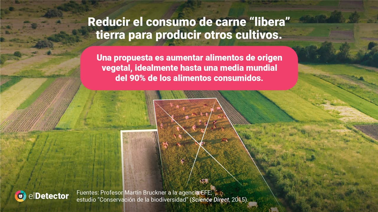 <a href="https://www.univision.com/noticias/verdad-reducir-consumo-de-carne-ayuda-planeta">Lee aquí completa la verificación de elDetector. </a>