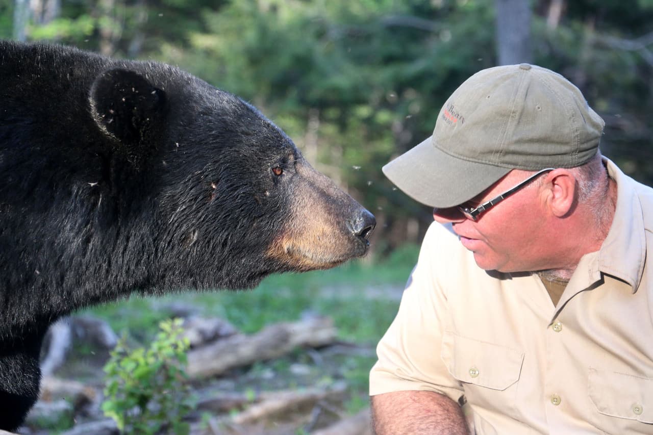 El ‘Susurrador de Osos’ es el ejemplo de que humanos y animales podemos convivir en paz.