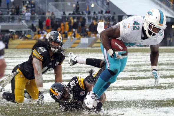 Los fanáticos de los Dolphins ya no hablan de la controversia Incognito/Martin, ni si Ireland o Philbin estarán con el equipo en el 2014, sino que pasan horas calculando… ¡porque tenemos chance de ir a los playoffs! Al principio de la temporada, y sobre todo, después de perder -casi deshonrosamente- contra Tampa Bay y Buffalo, los comentarios sobre Miami eran negativos. Qué si las novatadas, qué si Tannenhill, qué si el running game, qué si la línea ofensiva, que si… qué se yo… Pero ahora, las cosas han cambiado y solo se mencionan las posibilidades que tenemos de jugar en enero. ¡Ay, bendito! Bueno, después de este encontronazo con los portadores de las terribles toallas amarillas, donde salimos vencedores … por media pulgada… 34-28, ya todo me parece posible. Arriba Tannenhill (20 de 33, para 200 yds); arriba Wake and Odrich; arriba Thomas (105 yds, un TD en 16 acarreos); arriba Clay con sus dos TD y arriba Philbin, que mantiene el invicto en la revisión de las jugadas (obtuvo el cambio de “incomplete pass” a TD de Hartline). ¡Arriba, Dolphins, seguimos cuesta arriba!