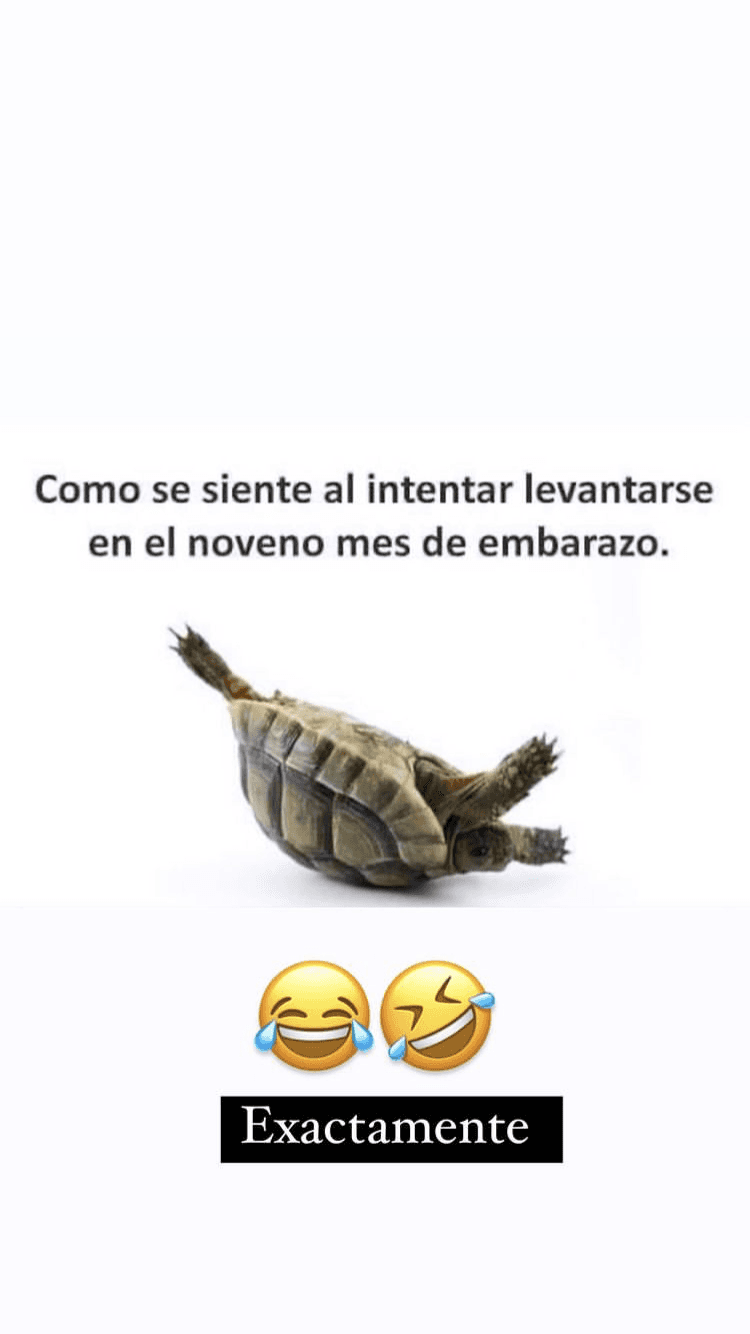 El sentido del humor en Francisca no puede faltar, pues en el último mes de su embarazo, la presentadora dominicana ha compartido, de una manera muy divertida, cómo se siente.