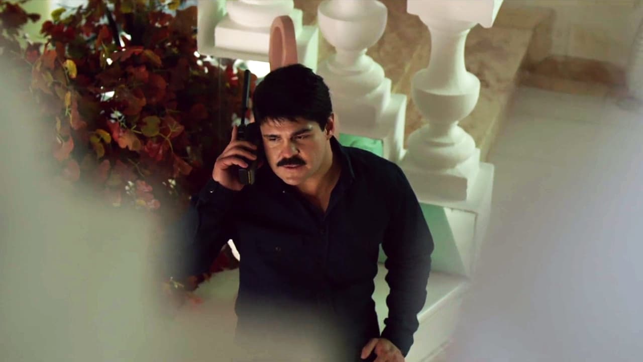 The drug lord congratulated him and asked him not to return to Culiacán, but to stay in the US instead, to celebrate is first shipment.