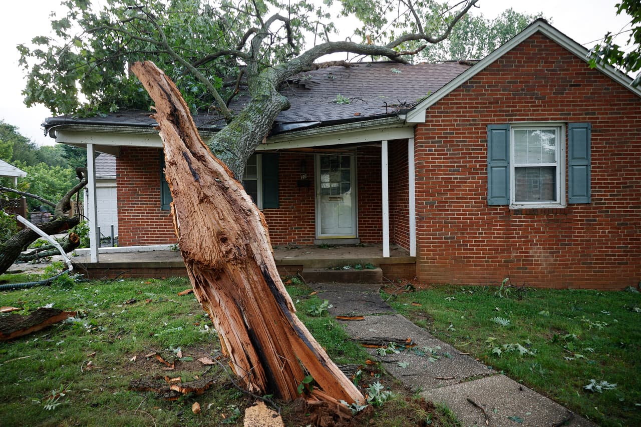 A pesar de que se vieron escenas de árboles arrancados desde la raíz, así como la caída de cables del tendido eléctrico, no hubo pérdidas humanas.