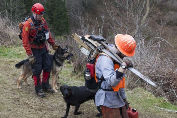 Pues los primeros ocho cadáveres fueron encontrados en un área de un kilómetro y medio cuadrado.
