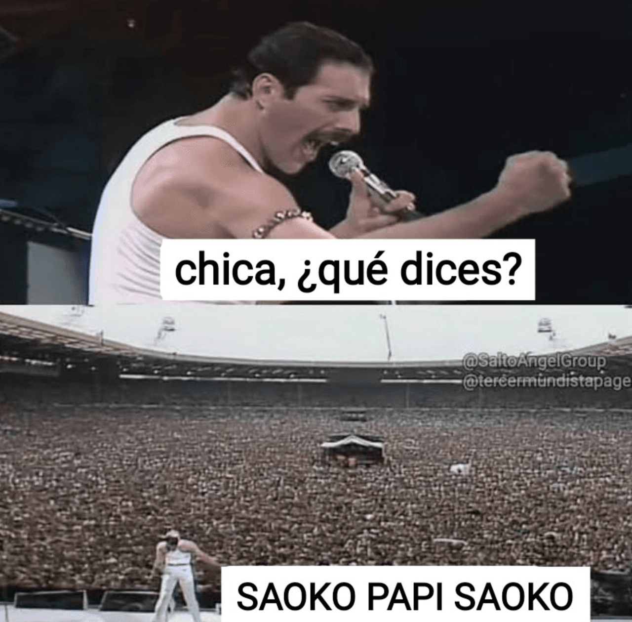 El icónico Fredy Mercury se tomó el micrófon de la intérprete de ‘Con Altura‘ en este meme, también imitó la icónica frase de la española “SAOKO PAPI SAOKO”, sería el presagio del en vivo.
