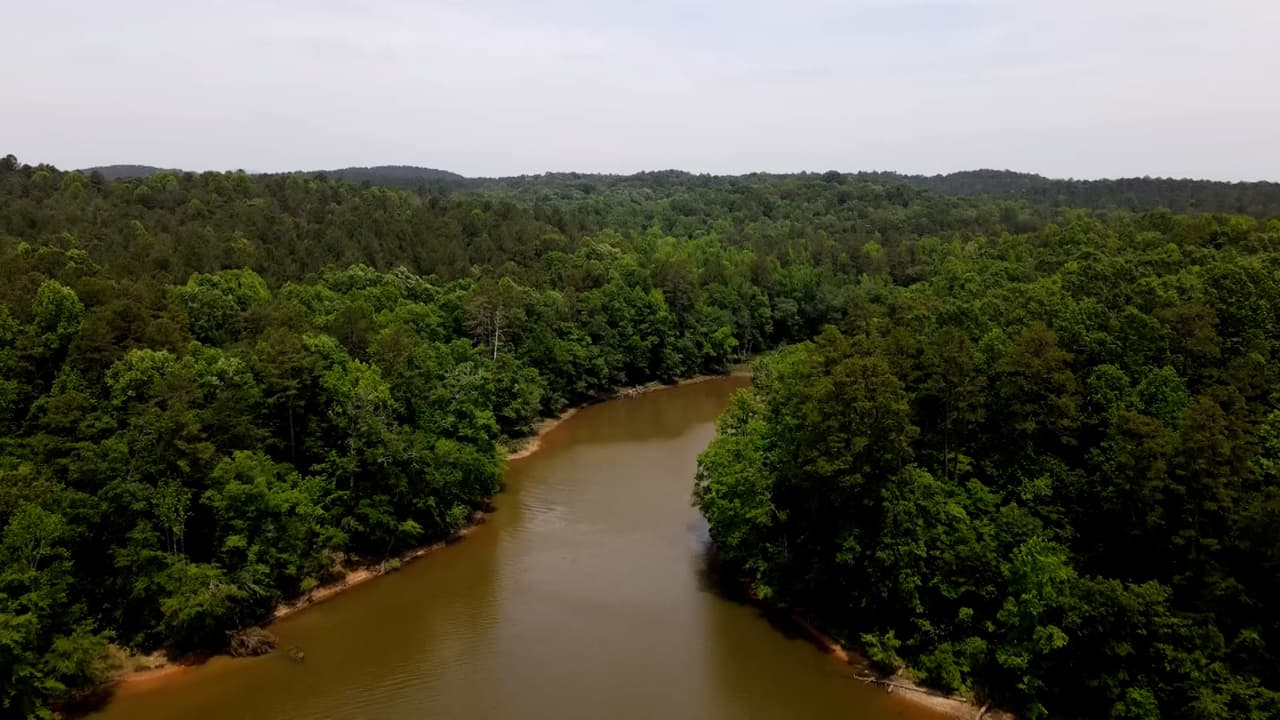 Las cabañas de dos habitaciones están ubicadas en laderas boscosas cerca del lago.