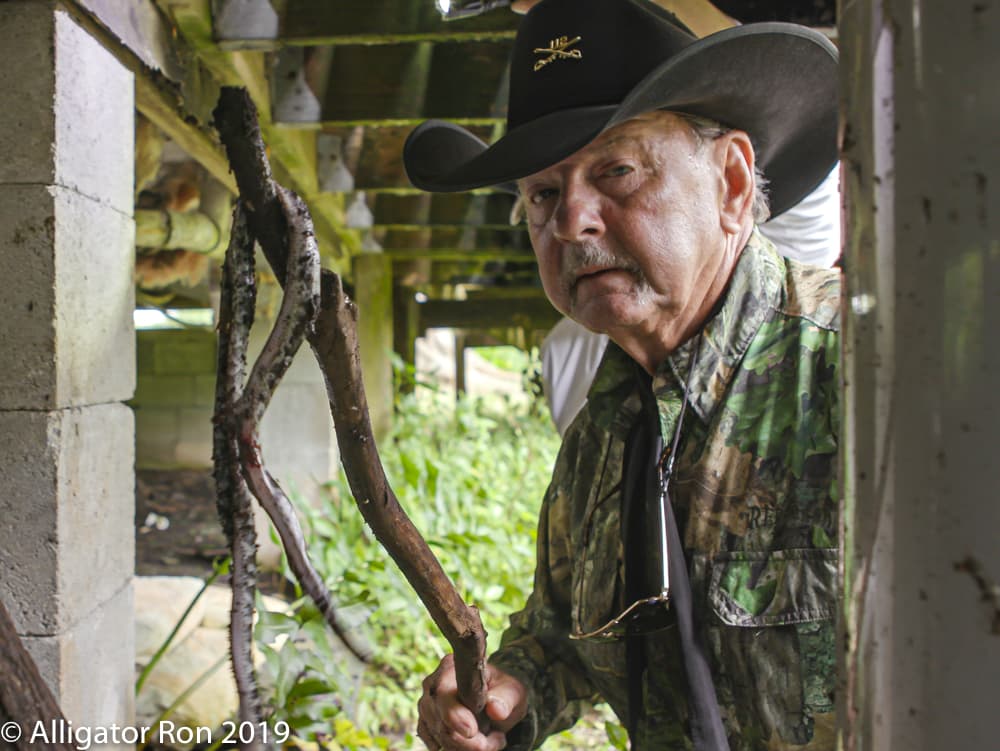 “Son muy difíciles de atrapar y de ver, porque su color se camuflajea con el medio ambiente”, contó el hombre a Univisión 23.