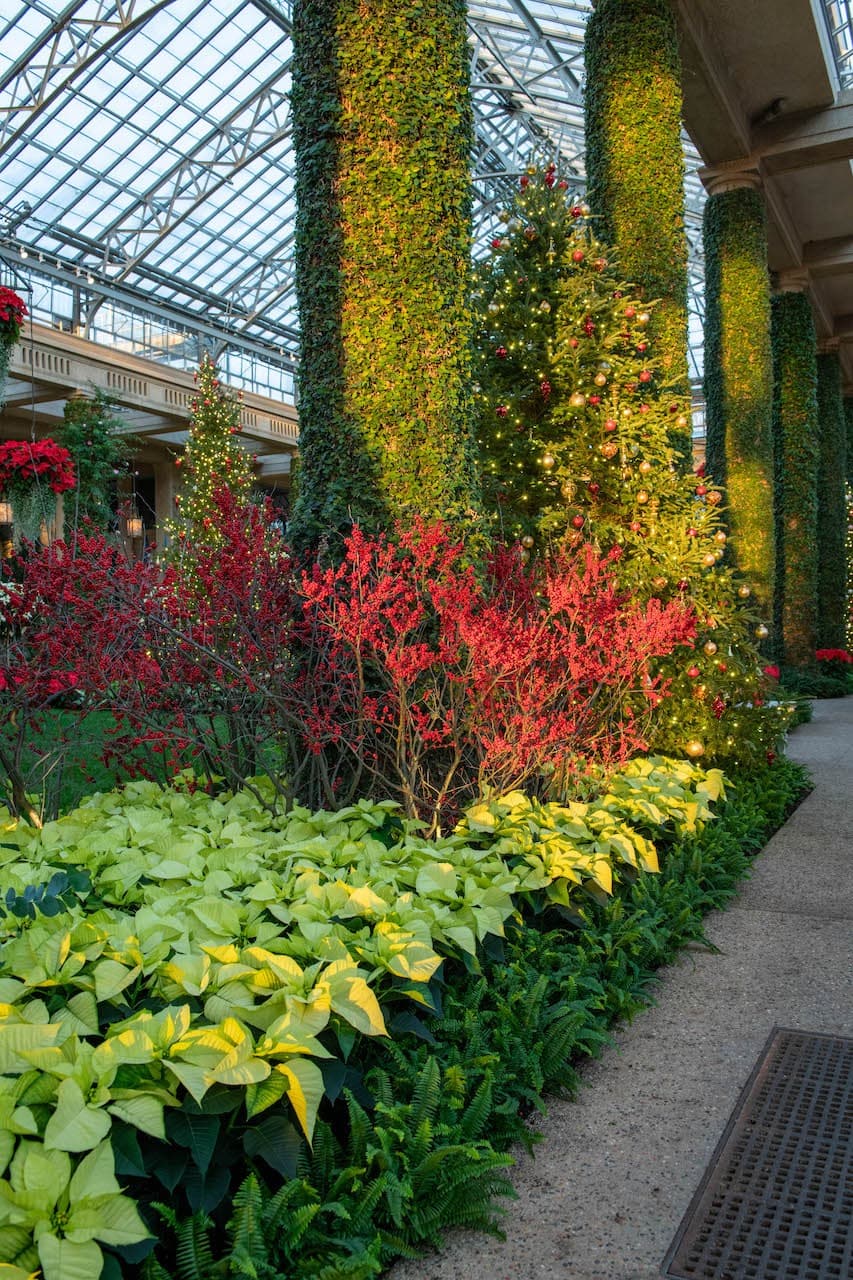 La entrada de luz al Conservatorio le da un aire místico a las encantadoras estampas.