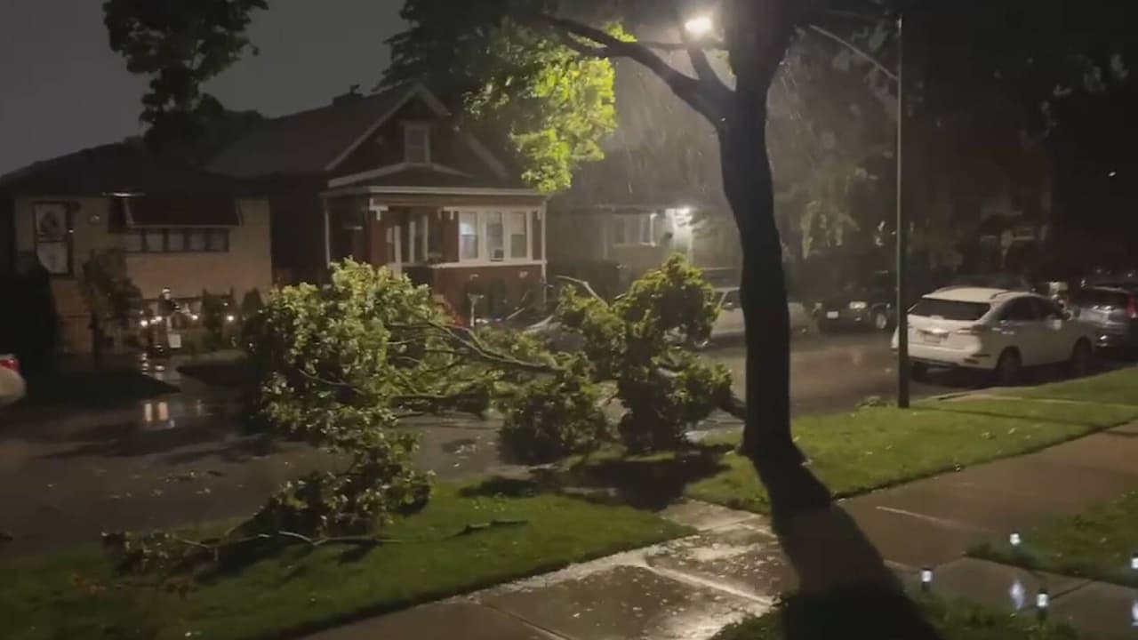 Además de Illinois, las 
<b>tormentas azotaron también Iowa e Indiana</b>. En este último sitio, trascendió la muerte de una mujer, después de que un árbol cayera sobre su casa.