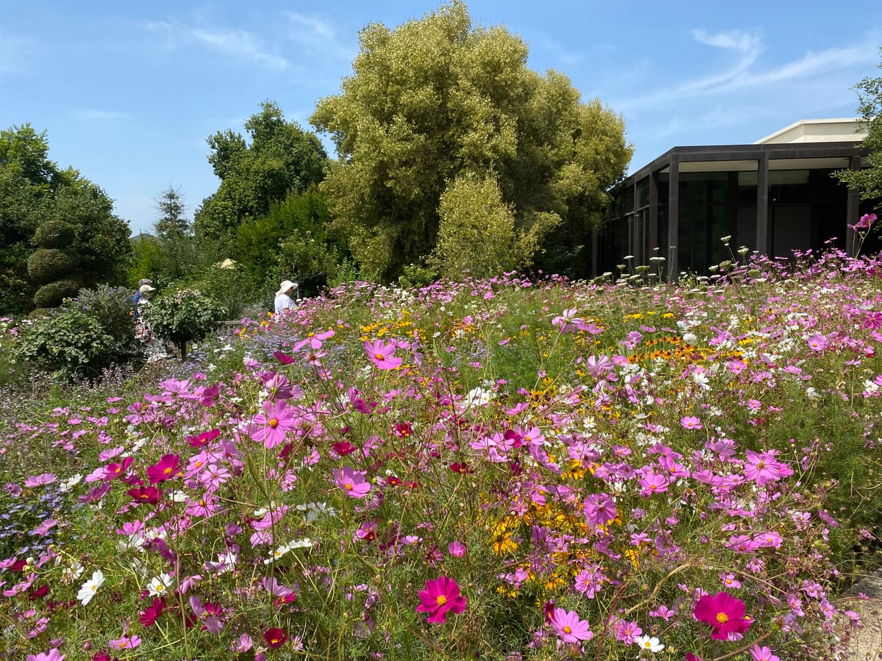Hasta Shakespeare tiene si propio jardín dentro del gran terrero, seguido por una impresionante vista de flores de camelias.
