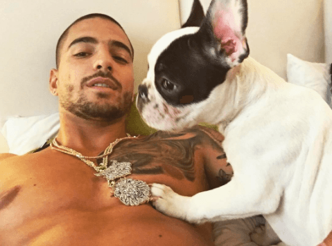 Maluma adoptó a Bonnie y Clyde casi dos años después de haber perdido a Kilate, el perro que más amó y cuya muerte lo embargó de tristeza por mucho tiempo.