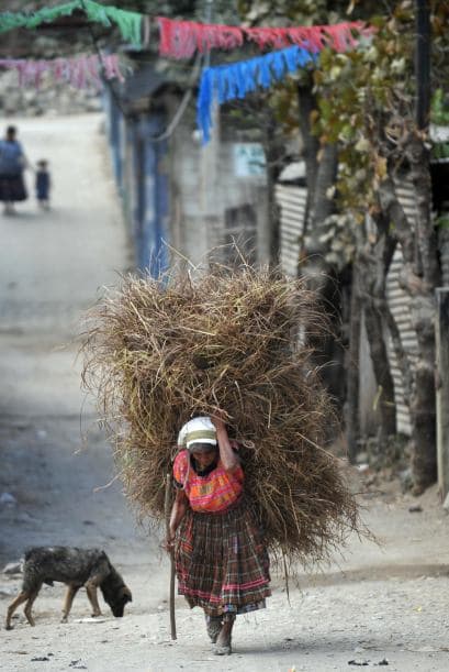 El lunes el vicepresidente Rafael Espada había adelantado que se iba a decretar el alerta nutricional, al tiempo que advertía sobre los problemas de falta de recursos, ya que el gobierno estima que necesita $42 millones para planes de asistencia alimentaria urgente, y solamente dispone de $6 millones.