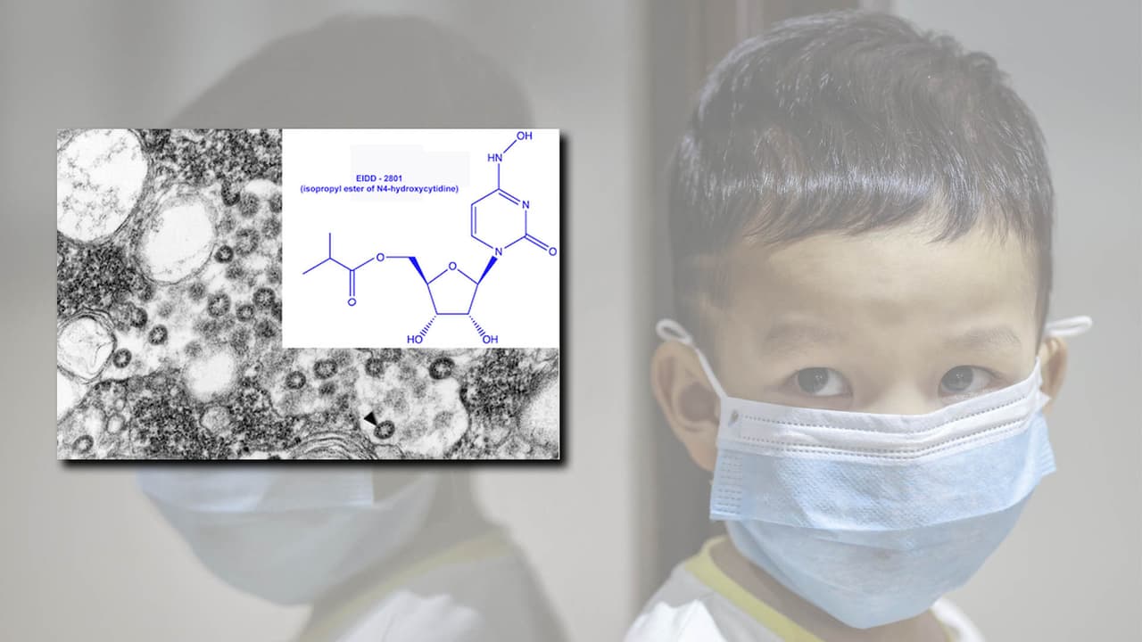 Universidad de EEUU asegura que ha desarrollado compuesto que podría combatir el coronavirus 